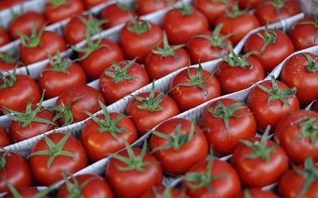 Koronavirus Çini vurdu - Azərbaycan pomidorunun qiyməti 9 dollar oldu