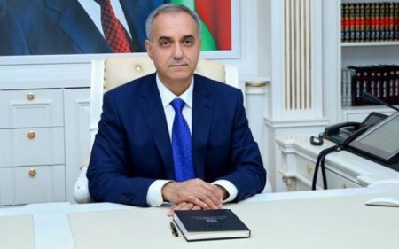 İcra başçısının oğlunun üç şirkəti üzə çıxdı