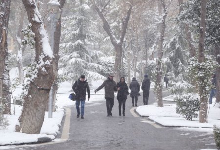 Bakıda və Abşeron yarımadasında gecə 5-8° şaxta olacaq