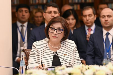 Milli Məclisin sədri Sahibə Qafarova MDB PA-nın Şura iclasında iştirak edib
