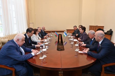 Sahibə Qafarova: Azərbaycan və Özbəkistan parlamentləri səviyyəsində qarşılıqlı səfərlər mütəmadi xarakter daşıyır